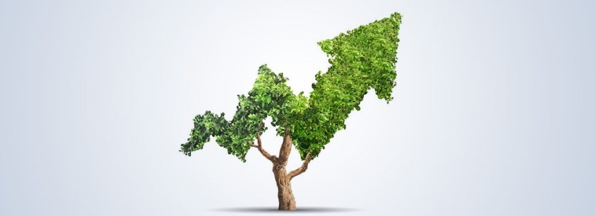 Impact Investing: The Way&nbsp;Ahead?