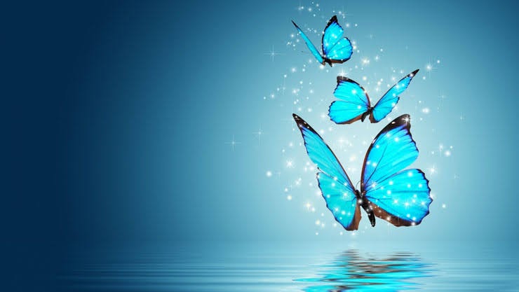 The Perfect Storm: The Butterfly Effect on&nbsp;Business
