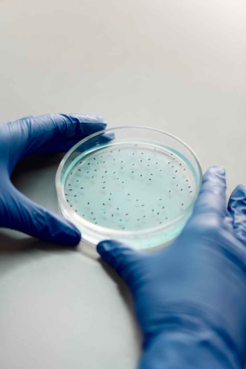 The Pharma Industry: Where&nbsp;next?