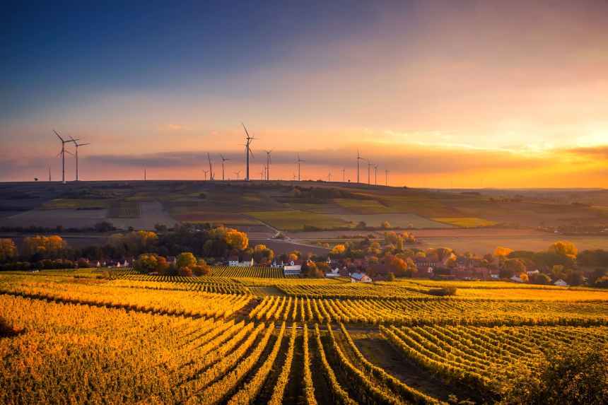 Natural Capital Accounting: An Interview with Prof. Jane&nbsp;Stout